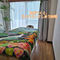 画像258