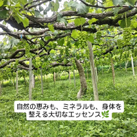 画像296